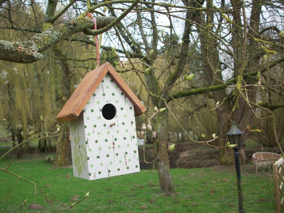 Moulin De Moxhe Micro Gite Et Gite - Bed & Dreams Kültér fotó